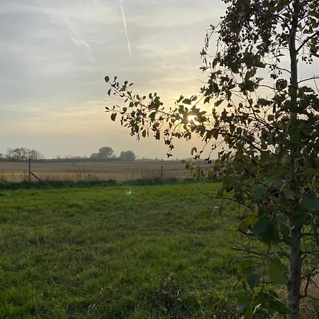 Pilemosegaard, Med 2 Vaerelser 罗斯基勒