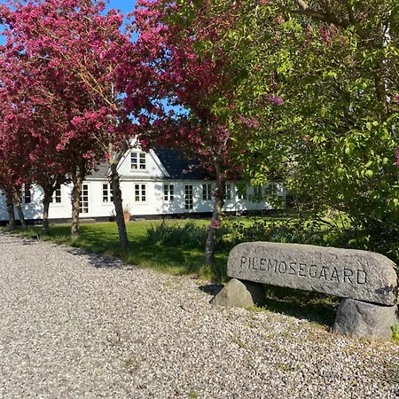 Pilemosegaard, Med 2 Vaerelser
