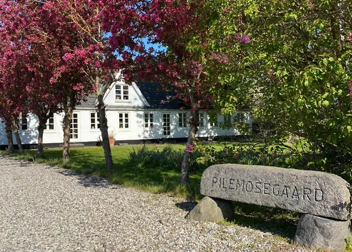 Pilemosegaard, Med 2 Vaerelser